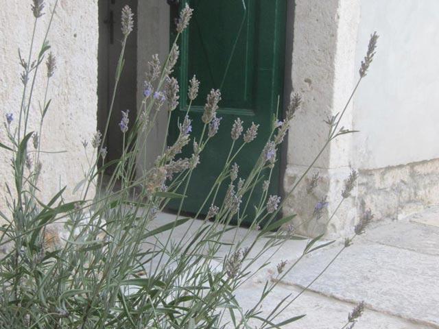 פרמנטורה House Palac מראה חיצוני תמונה